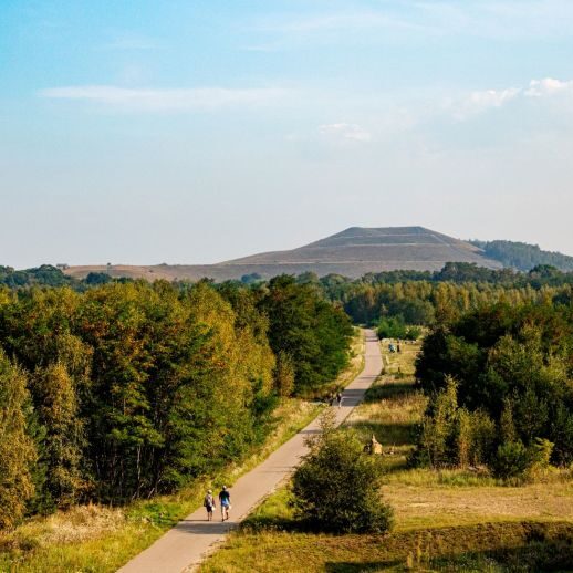 hor Park Genk gezien van boven, met de terril en mijngebouwen als poort tot Nationaal Park Hoge Kempen